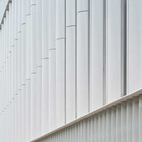 TEMPIO BAGUETTE SKIN