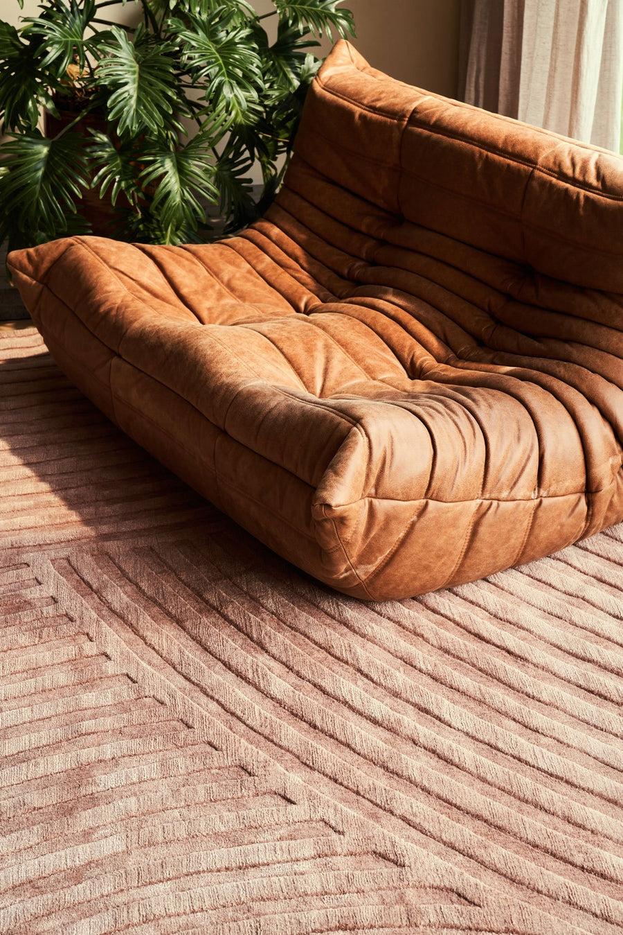 SOFT SCAPES | SONO SALMON