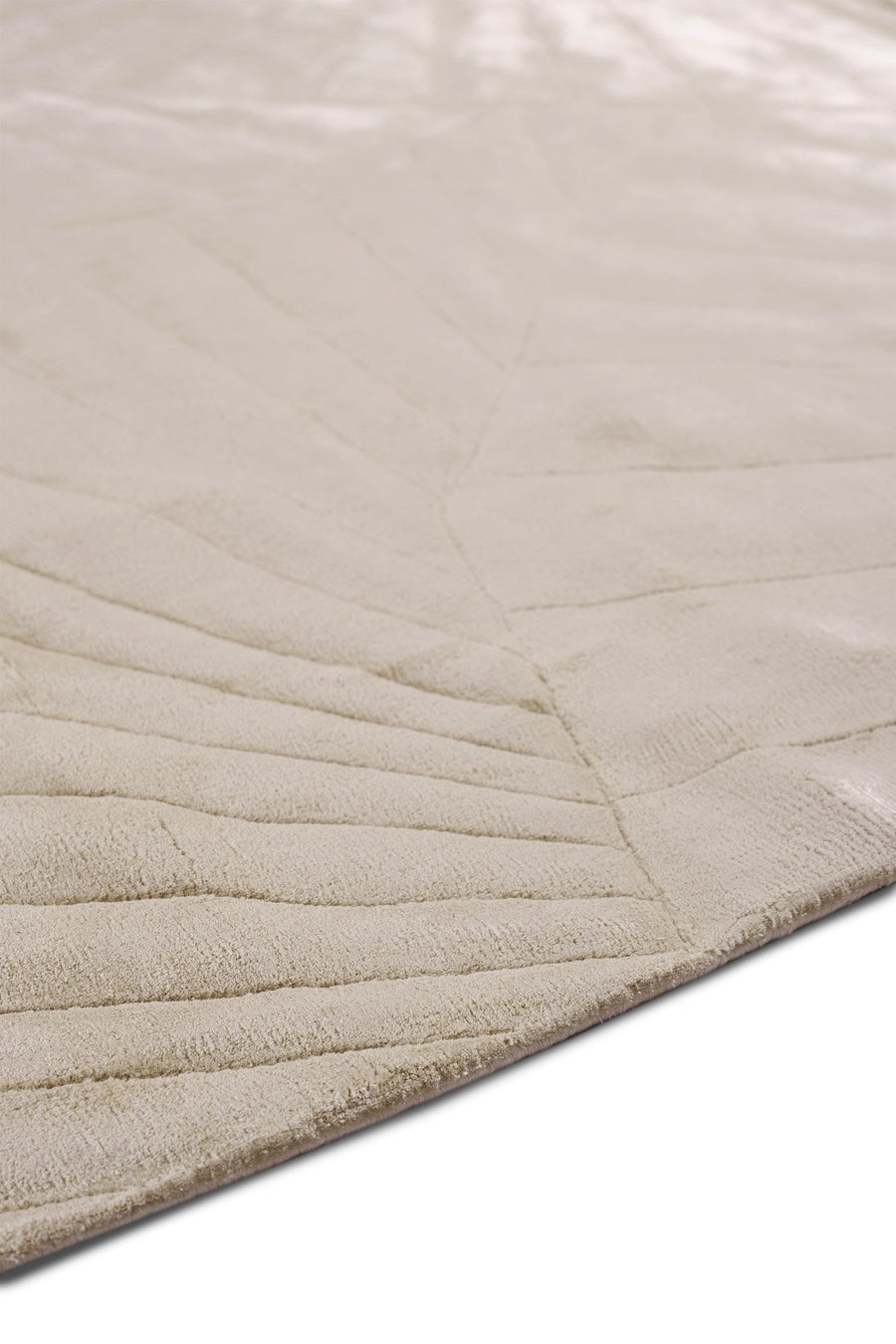 SOFT SCAPES | ORI GOLD