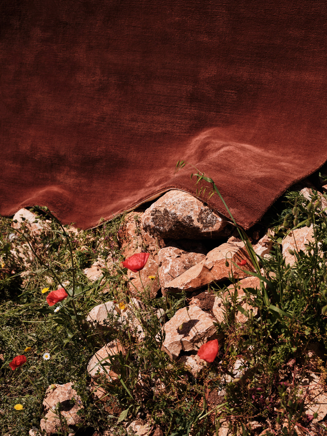 HANDLOOM CASHMERE BLEND LOW PILE RUSSET
