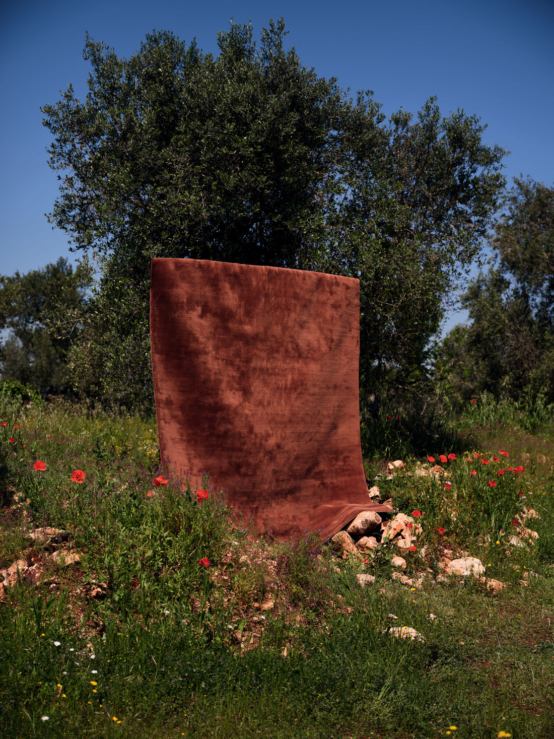 HANDLOOM CASHMERE BLEND LOW PILE RUSSET
